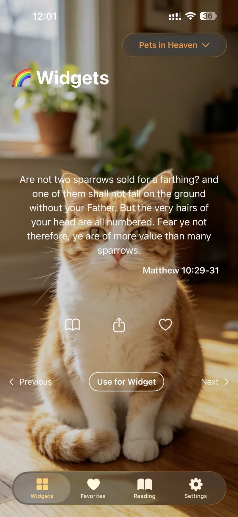 Rainbow Bible app — Pets in Heaven topic showing Matthew 10:29-31